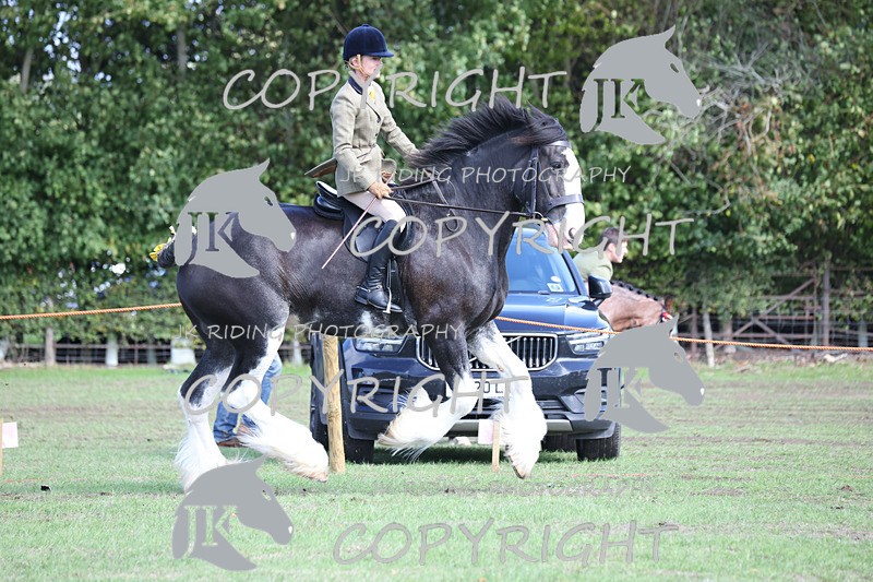 APP_3763 - Class 8 Ridden Class