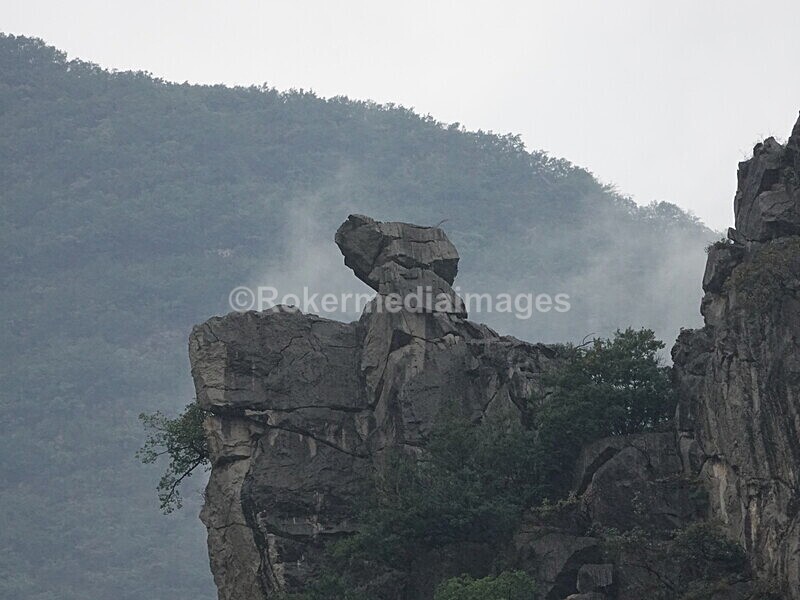 CHINA__0656 - China 2019