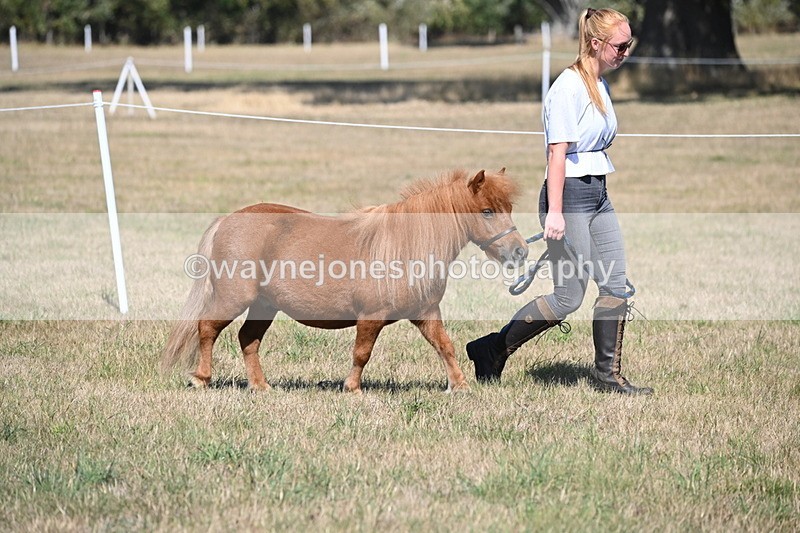 WJ6_4404 - Class 17 Mountain & Moorland