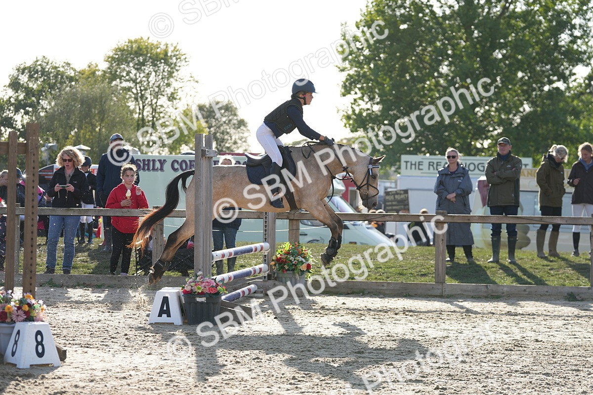 SBM_53600 - J8 - Junior Pony 65cm Championship