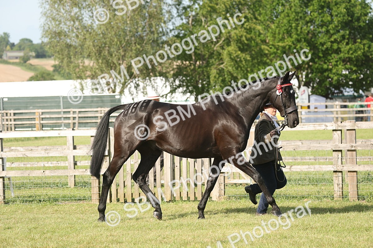 SBM_10316 - Class 33-38 - SSADL RIHS Qualifiers