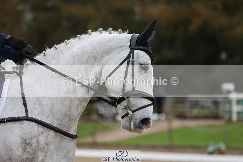 241024-110459-01729 - 135-Maddison.Peries-CHAMPAGNE.SILVER.NOVA