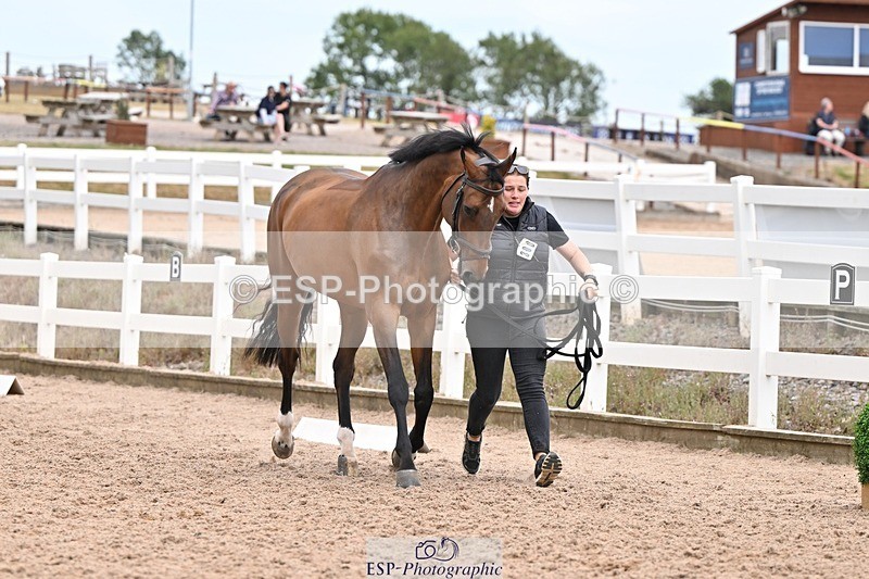 250716-162545-02632 - Trot Up 3.30 to 4.30