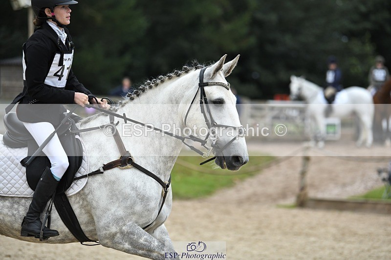 230827-113702-24120 - SJ 11.30 to End