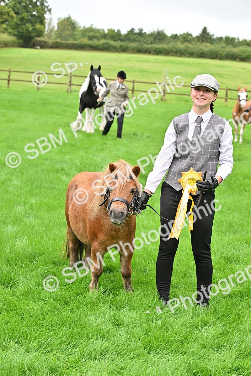 SBM_32667 - S15 - Top Turnout In Hand