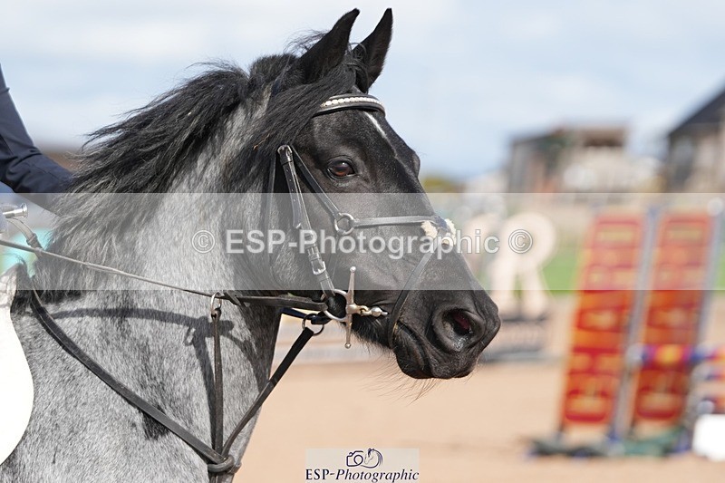 250921-105418-02439 - Cls 5 Pony Discovery and 90cm