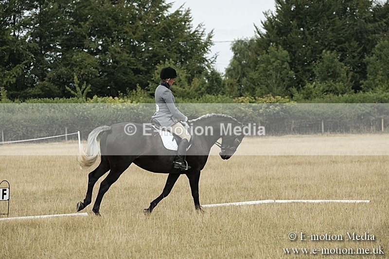 _PJP5756 - Dressage Classes BVRC Show 2018