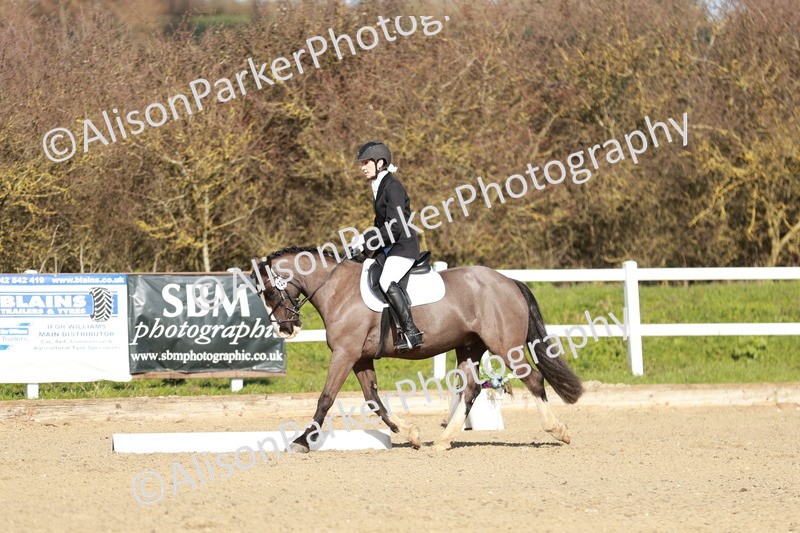 20260314-4343 - DR4 - Prelim 2