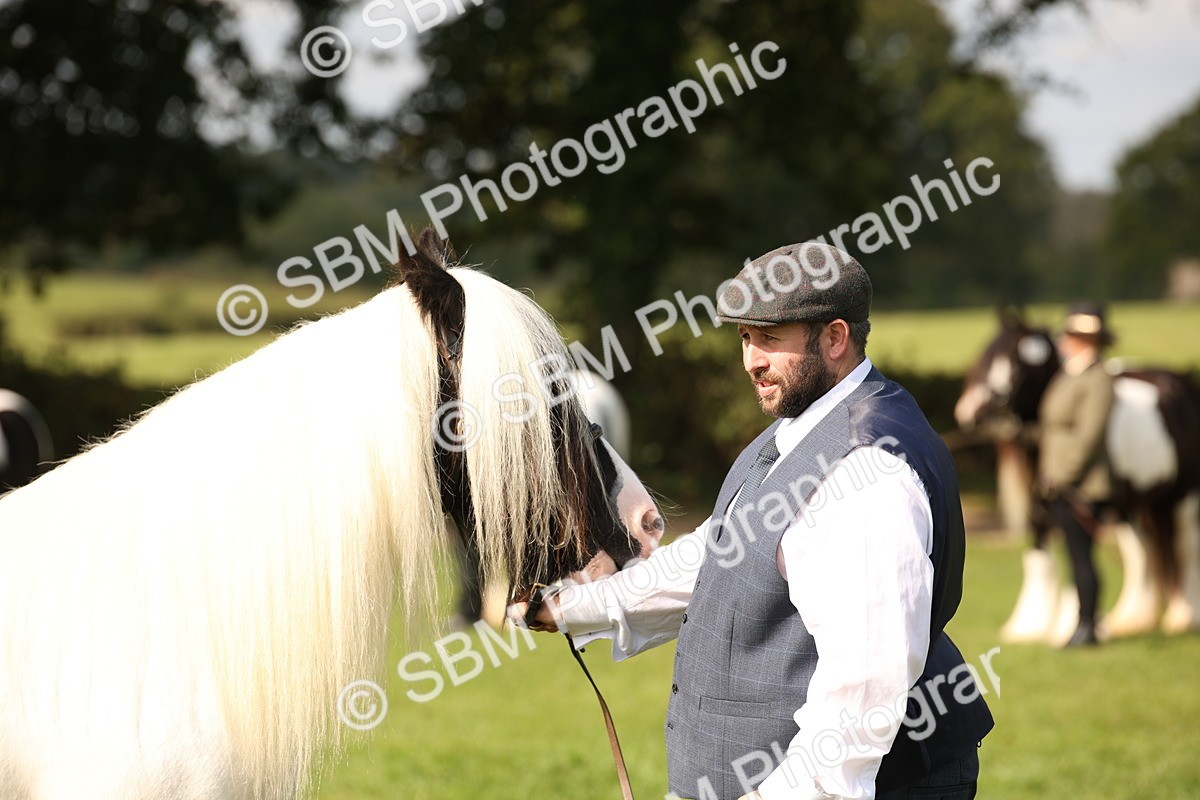 SBM_62290 - S55 - Traditional Cob In Hand