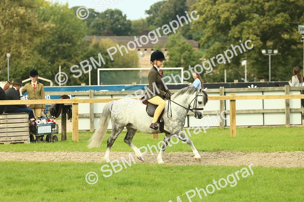 SBM_69847 - S59 - Mountain & Moorland Ridden Small Breeds