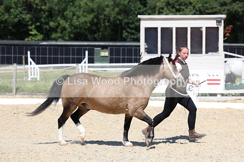 3E7A9563 - Class 32: Best Grass Kept