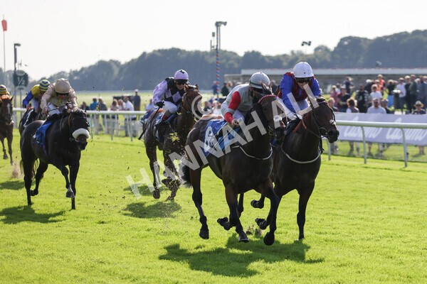 yr08102021r1-19 - Race 1 2.05pm Parsonage Hotel and Cloisters Spa Nursery Handicap