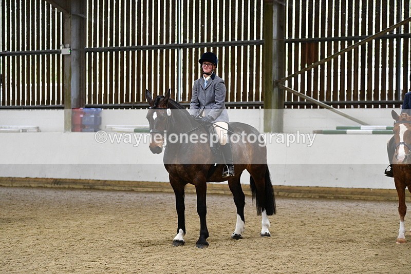 WJ5_8062 - Class 13 Ridden Part Breed