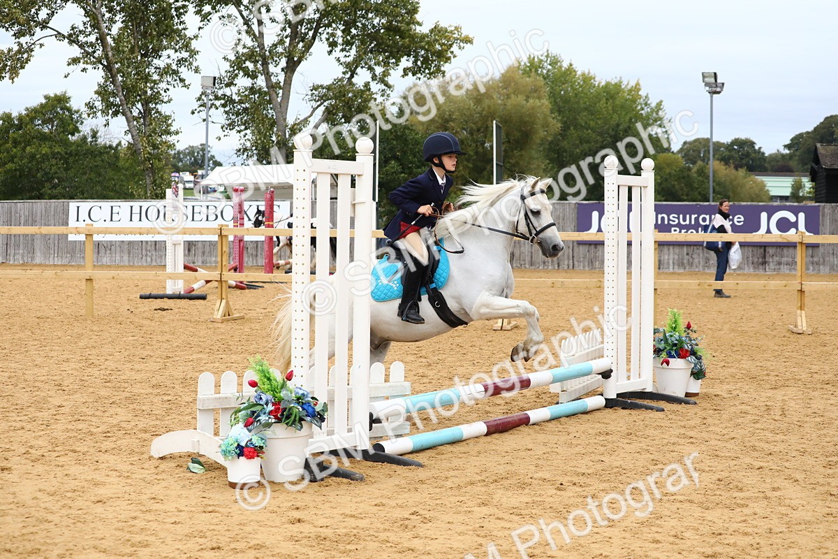 SBM_68142 - J3b - Mini Tour Junior Pony 40cm Championship