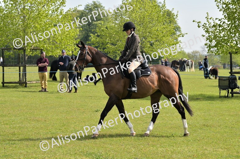 20260426-1138 - Class 19 - Retraining Of Racehorses