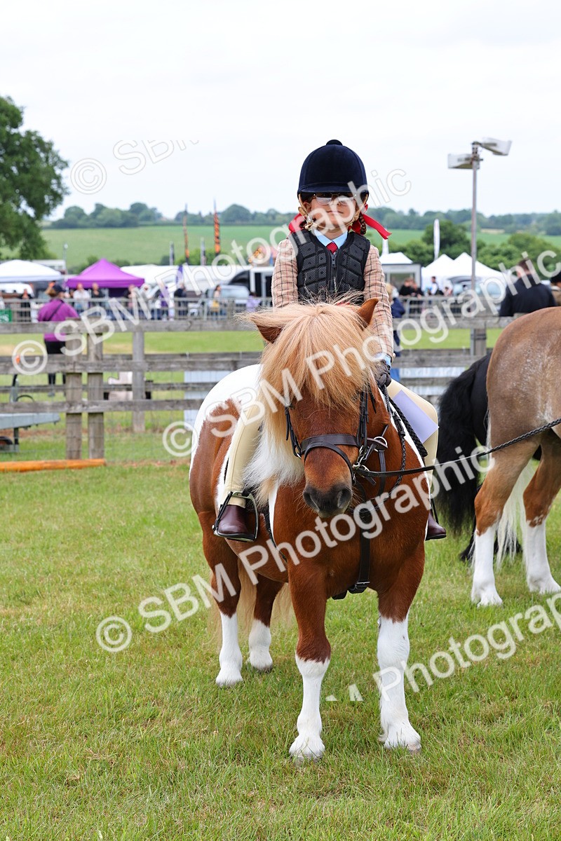 SBM_08406 - Class 42-43 - LIHS BSPS Heritage Working Sports Pony
