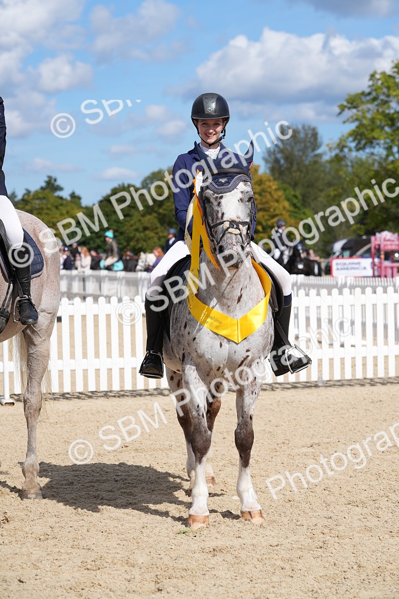 SBM_38905 - J21 - Junior Horse 60cm Championship