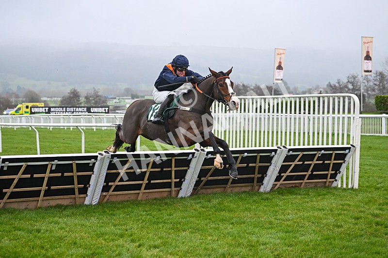 131224-Race 3-Mirabad-8886