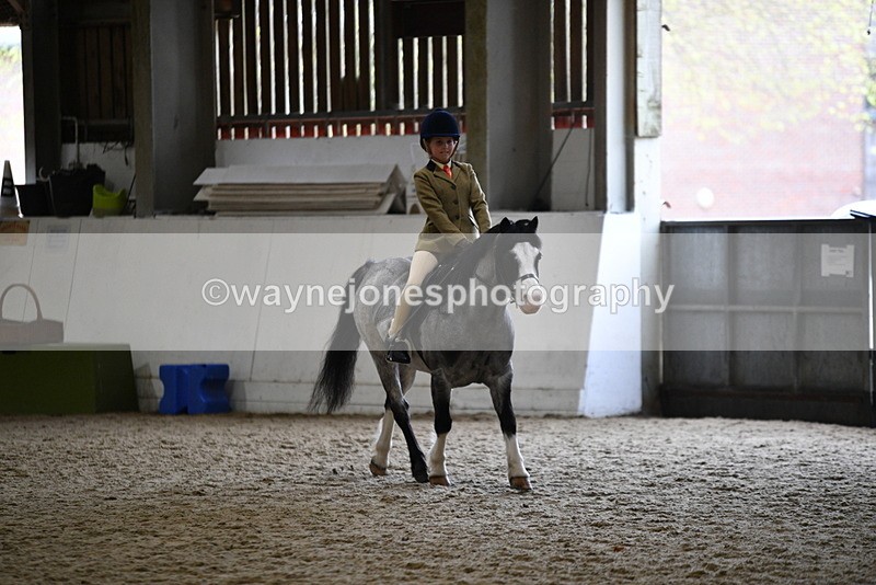 WJ5_6871 - Class 10 Childs Pony