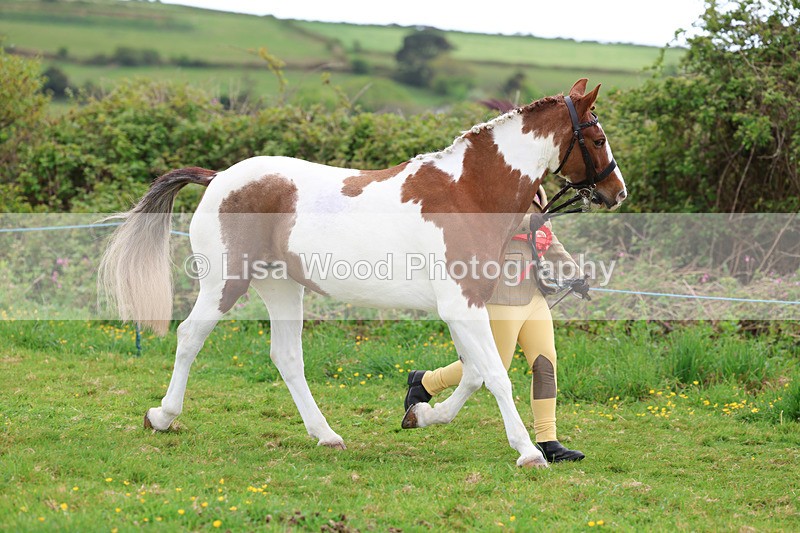 3E7A0787 - In Hand Championship