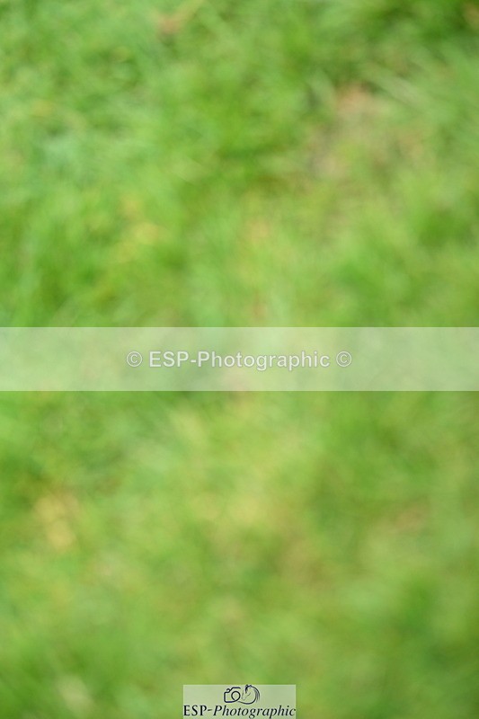 250706A-121742-19186 - Cls 44 Area Trial