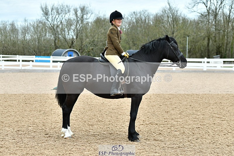 230416A-115926-04268 - Cls 72+73+69 Welsh, Trad Cob and Foreign