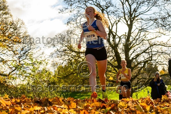 NatRel25-913636 - Young Female Set Two