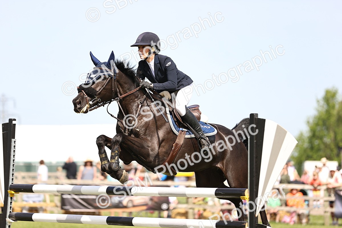 SBM_03059 - Class 201 - British Horse Feedds Speedi Beet HOYS Grade C