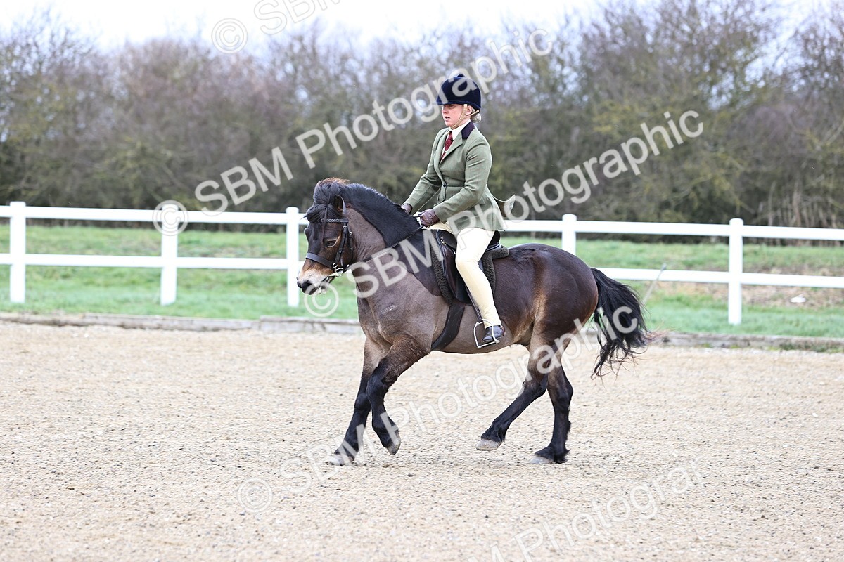 SBM_006788 - Class 29 - 30 - M&M Pure Novice Small-Large Breeds