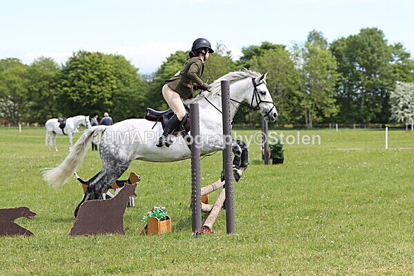 IMG_3104 - Working Hunter