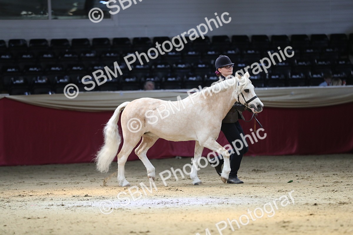 SBM_04335 - Class 7R Regional - IH Diamond