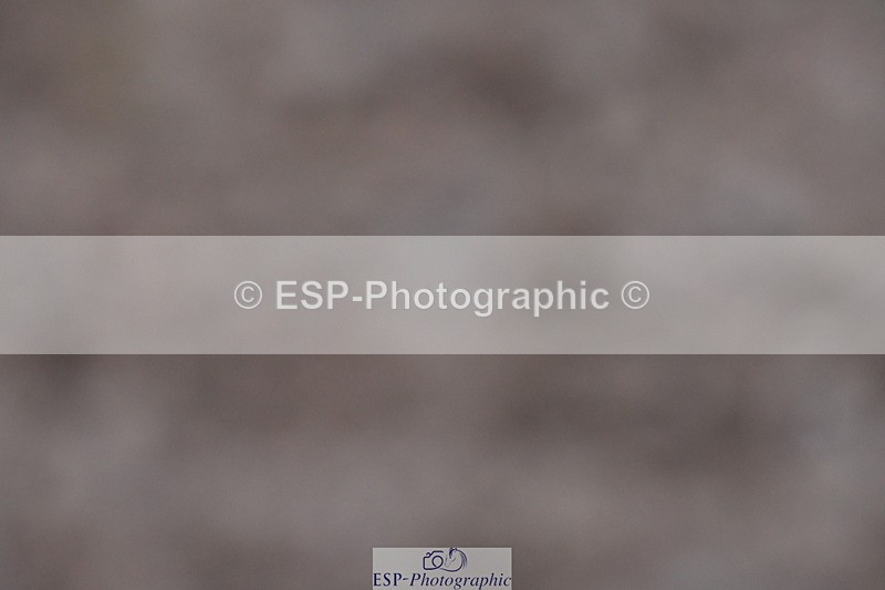 240107A-090455-00018 - Quest DR Tests