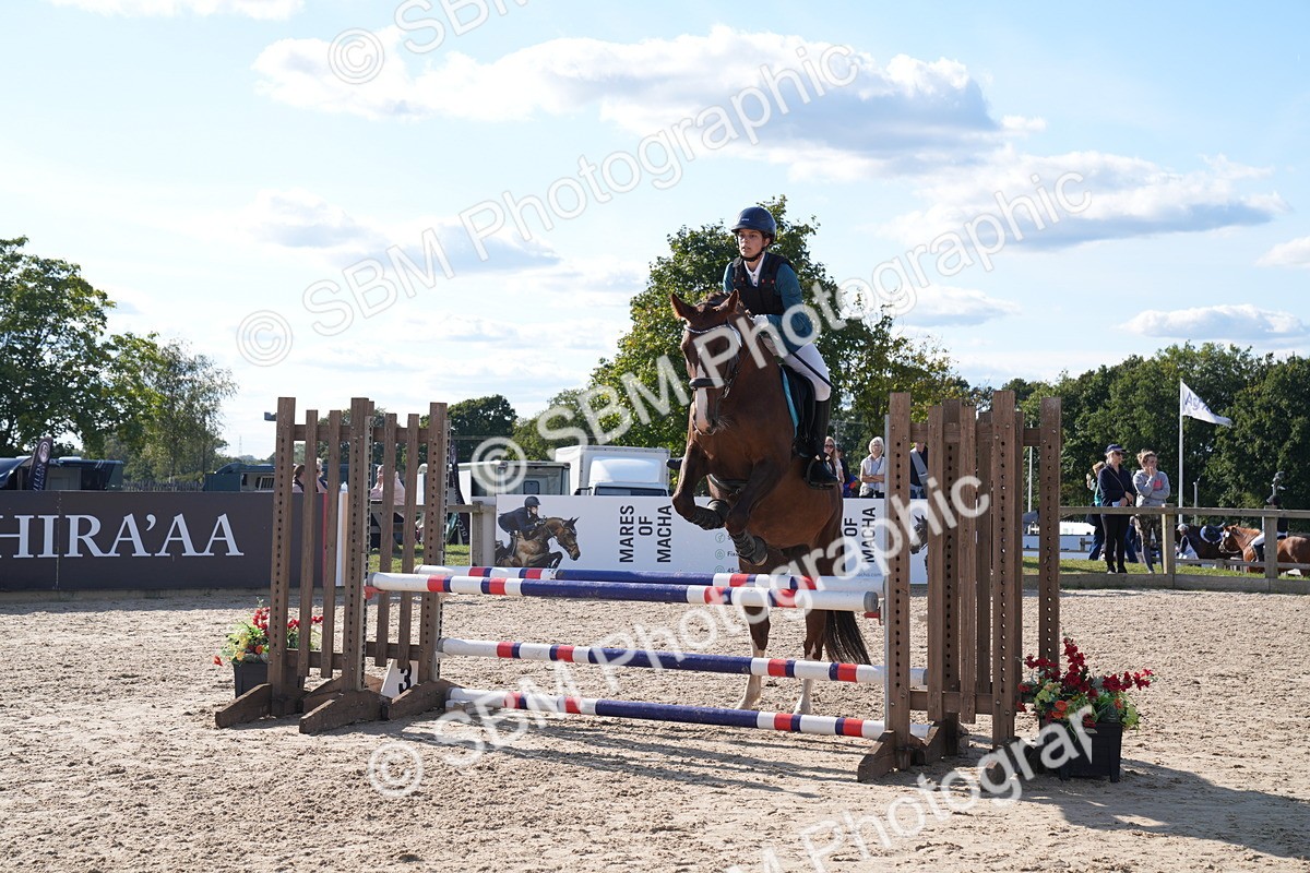 SBM_26100 - J61 - Clear Round 75cm & 85cm