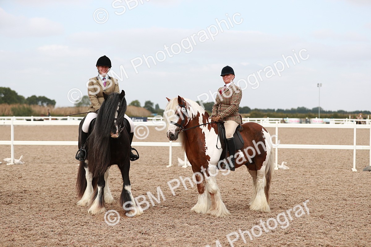 SBM_16722 - Class 214 Ridden Cob
