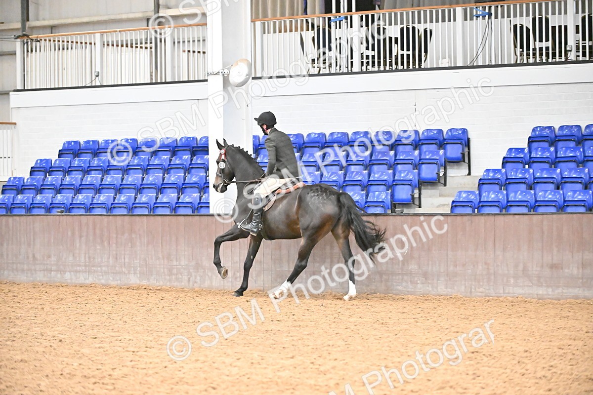 SBM_002400 - Class 22 - BSHA Ridden Hack & Riding Horse