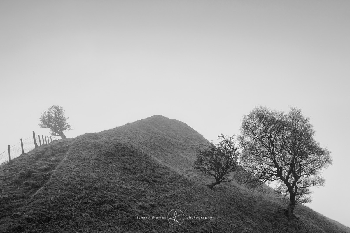 Foggy Nook - Peak District - Mono Mist Trees