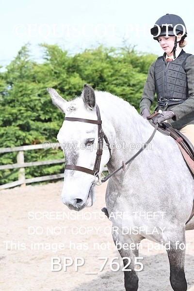 BPP_7625 - RING 1  (RIDDEN HORSES / IN HAND / VETERAN ETC)