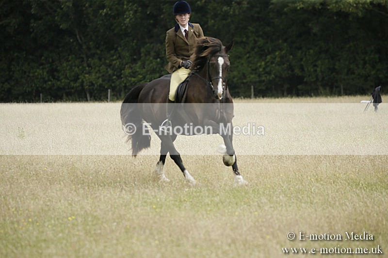B230619-0471 - Bourne Valley Riding Club Summer Show 23/06/19