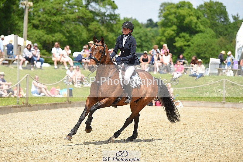 230528-122958-15727 - 373-BENGAL_LORE-Pippa_Taylor-SUNTrotUp+SJ