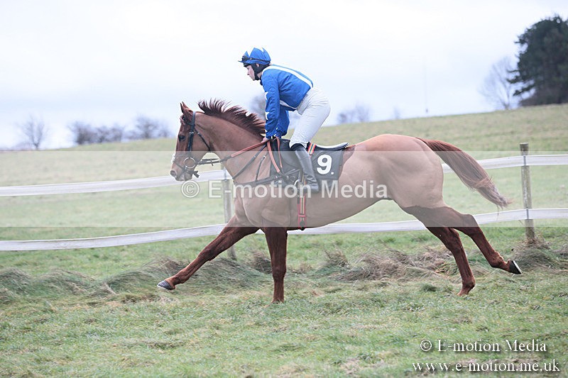 PtP 230119 201 - Royal Artillery Point-to-Point  - Larkhill  - 26/01/19