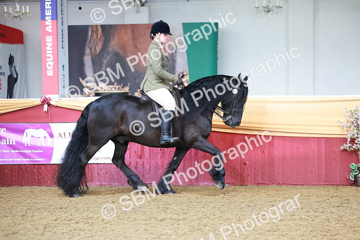 SBM_11800 - Class 102 - Equitation (Best Rider) Adult