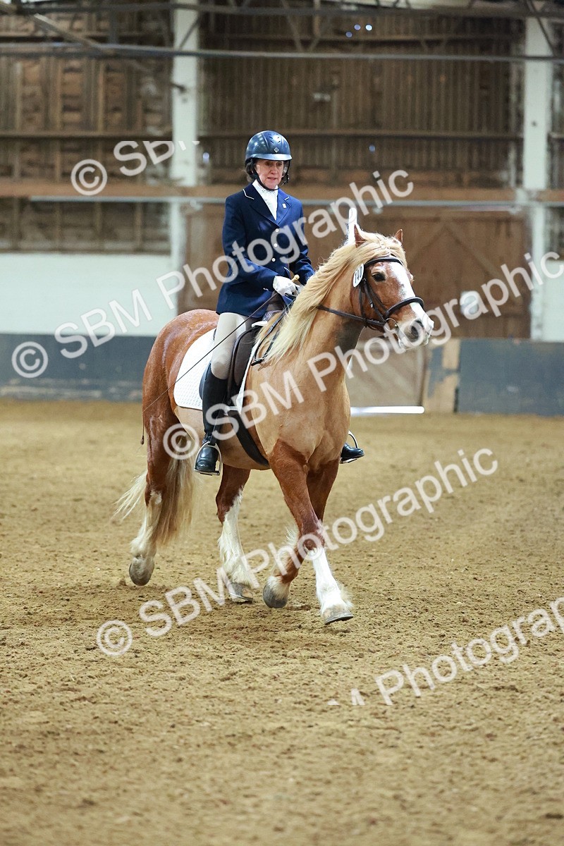SBM_003648 - Novice 2