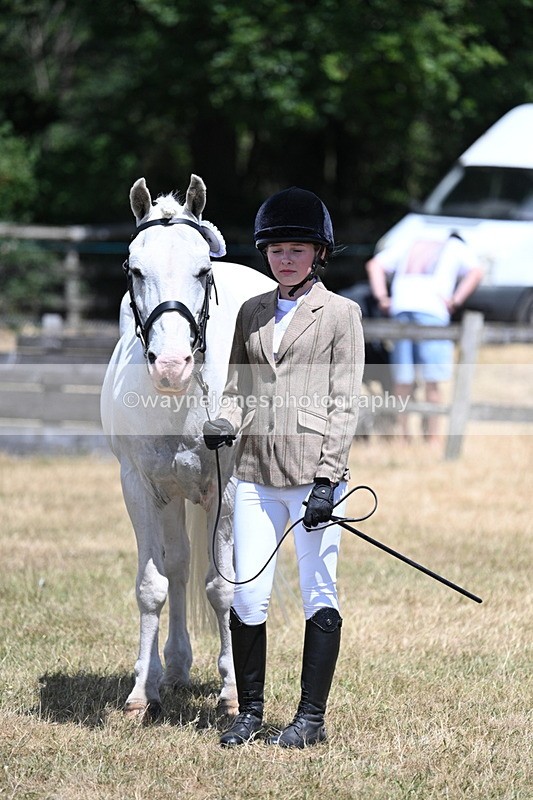 WJ7_2274 - Class 5 Most Handsome Gelding (up to 14.2hh) in hand