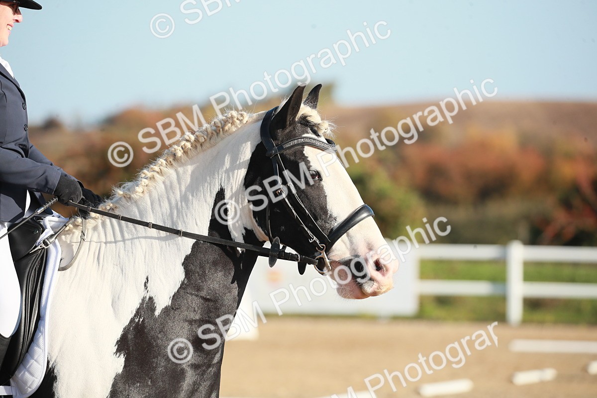 SBM_000317 - Class 3-4-11-12 - MQ Open-U21 Intro 2 N2