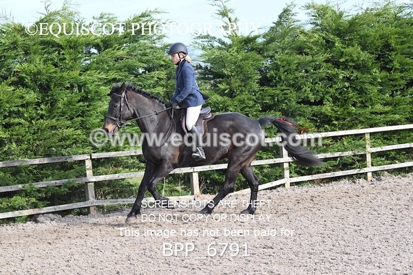 BPP_6791 - RING 1  (RIDDEN HORSES / IN HAND / VETERAN ETC)