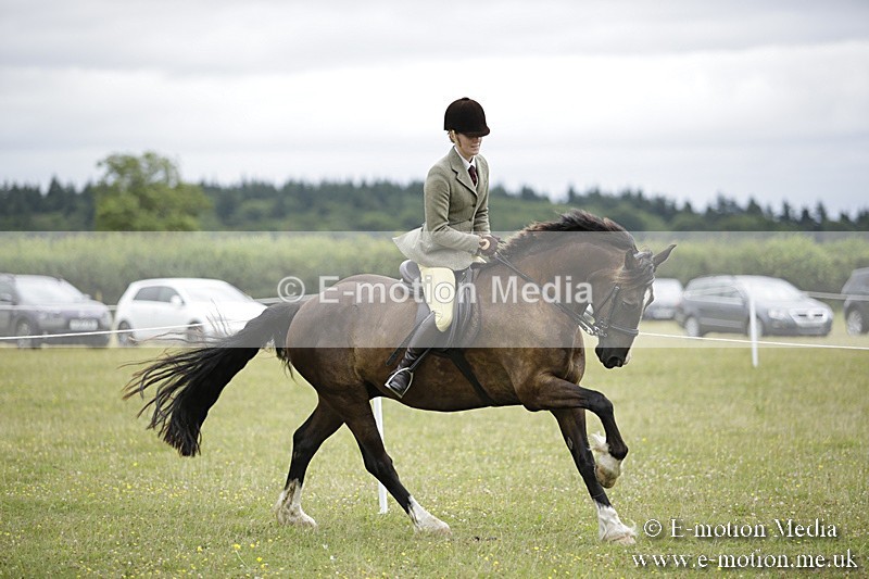 BVR160717-1324 - Ring 1 BVRC Show 16/07/17