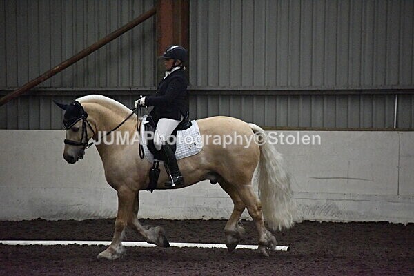 DSC_7085 - GDG saturday 3rd May
