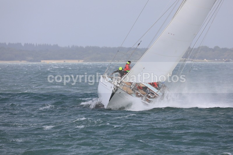  - 210808  STORMVOGEL  H700