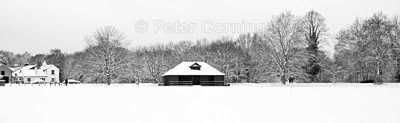  - Winter