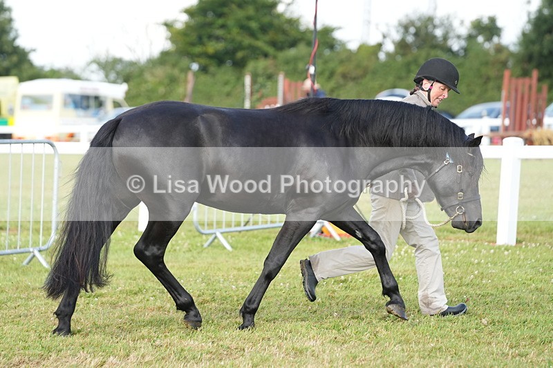 DSC04913 - Class 48: NPS M&M 2/3 year olds